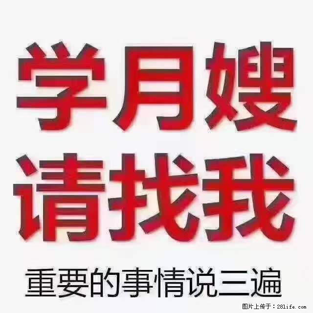 为什么要学习月嫂,育婴师? - 其他广告 - 广告专区 - 焦作分类信息 - 焦作28生活网 jiaozuo.28life.com