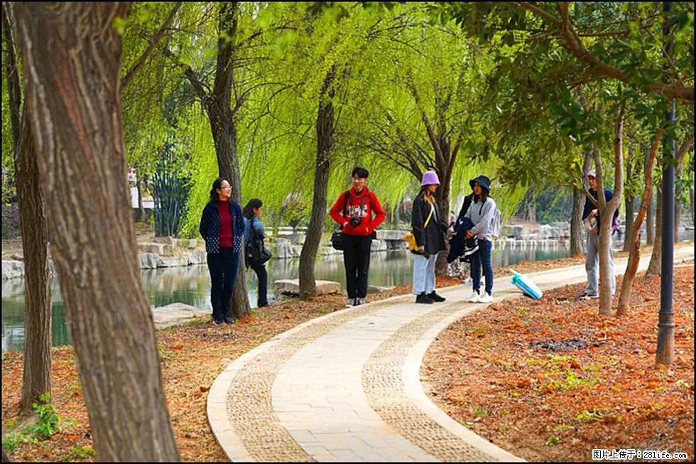 【春天,广西桂林灌阳县向您发出邀请!】江口老街又逢春 - 游山玩水 - 焦作生活社区 - 焦作28生活网 jiaozuo.28life.com