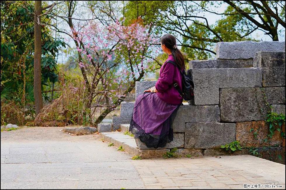 【春天,广西桂林灌阳县向您发出邀请!】江口老街又逢春 - 游山玩水 - 焦作生活社区 - 焦作28生活网 jiaozuo.28life.com