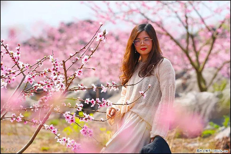 【春天,广西桂林灌阳县向您发出邀请!】望月岭上桃花开 - 游山玩水 - 焦作生活社区 - 焦作28生活网 jiaozuo.28life.com