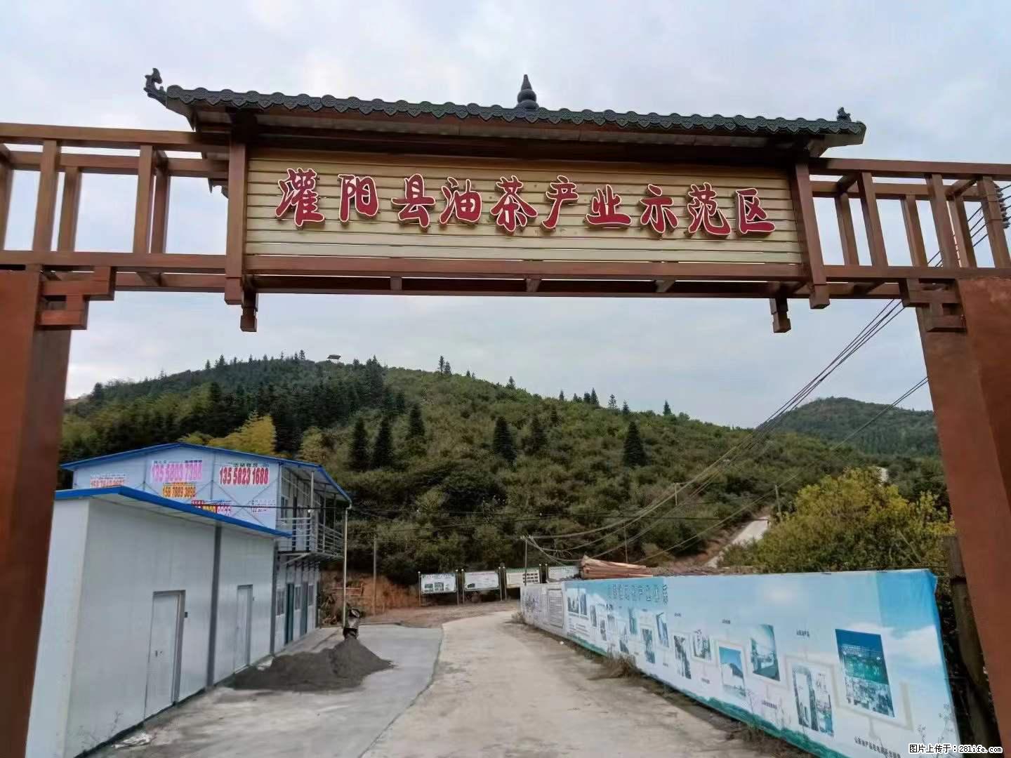 【灌阳县油茶产业示范区】一个有着充实的精神生活的人,对待身外之物自会有一种淡泊的态度 - 土特产 - 饮食特产 - 焦作分类信息 - 焦作28生活网 jiaozuo.28life.com