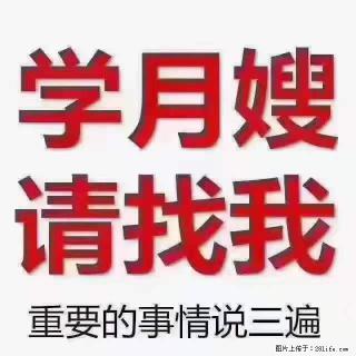 为什么要学习月嫂，育婴师？ - 焦作28生活网 jiaozuo.28life.com