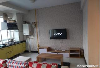 森林半岛 一室一厅 家具齐全 拎包入住 - 焦作28生活网 jiaozuo.28life.com