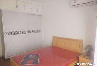 森林半岛 简单装修 两室两厅一卫 家具齐全 拎包入住 - 焦作28生活网 jiaozuo.28life.com