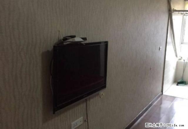 郁金香苑 精装小公寓房东诚心出租 - 房屋出租 - 房屋租售 - 焦作分类信息 - 焦作28生活网 jiaozuo.28life.com