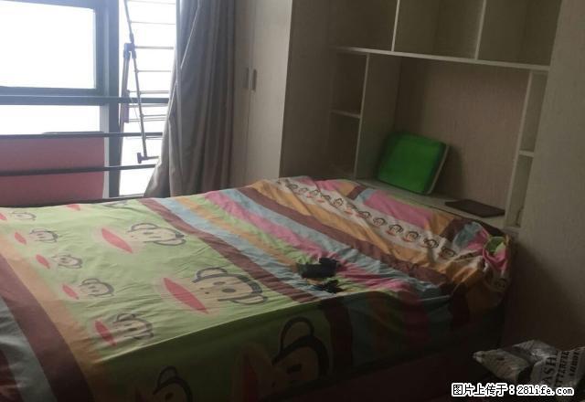 新区嘉隆国际电梯豪装公寓出租！！！ - 房屋出租 - 房屋租售 - 焦作分类信息 - 焦作28生活网 jiaozuo.28life.com