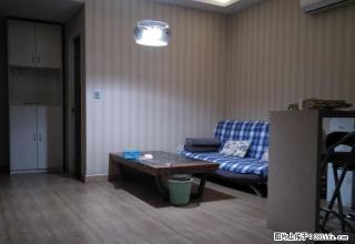 新区嘉隆国际电梯豪装公寓出租！！！ - 焦作28生活网 jiaozuo.28life.com