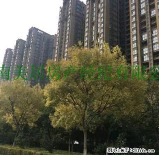 美居房产 常绿林溪谷精装小一室 - 焦作28生活网 jiaozuo.28life.com