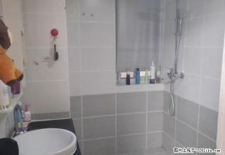 焦作教授公寓 精装修 两室两厅一卫 对外出租 - 焦作28生活网 jiaozuo.28life.com