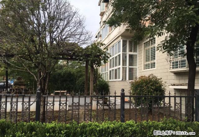 (单间出租)万达广场对面峰尚国际精装修，拎包入住 - 房屋出租 - 房屋租售 - 焦作分类信息 - 焦作28生活网 jiaozuo.28life.com