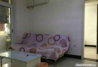 南通路西苑小区二楼两室精装出租 - 焦作28生活网 jiaozuo.28life.com