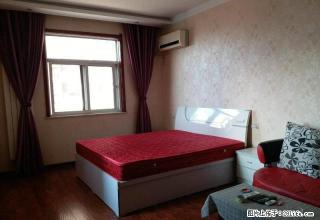 个人出租 紧邻万达广场和丹尼斯超市 精装一居室 家具家电齐全 - 焦作28生活网 jiaozuo.28life.com