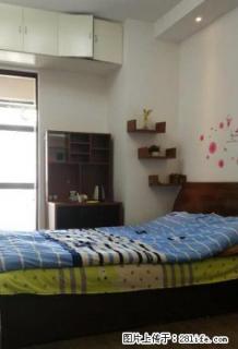 个人出租 常绿林溪谷 精装一居室家具家电齐全 拎包入住！ - 焦作28生活网 jiaozuo.28life.com