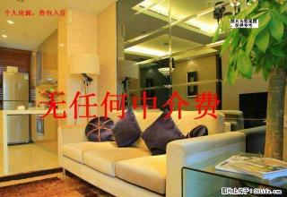 个人出租 紧靠王府井商圈两室两厅南北通透，精装修拎包入住！ - 焦作28生活网 jiaozuo.28life.com