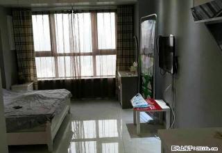 王.府井公寓 精装修出租 - 焦作28生活网 jiaozuo.28life.com