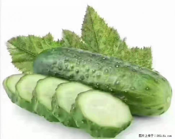 【生活小常识】吃黄瓜的好处 - 生活百科 - 焦作生活社区 - 焦作28生活网 jiaozuo.28life.com