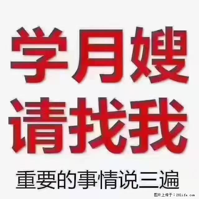 【招聘】月嫂,上海徐汇区 - 职场交流 - 焦作生活社区 - 焦作28生活网 jiaozuo.28life.com