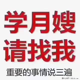 【招聘】月嫂，上海徐汇区 - 焦作28生活网 jiaozuo.28life.com