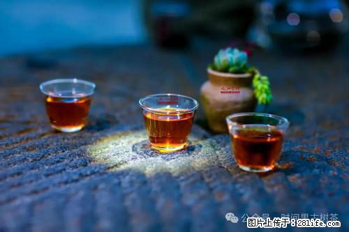 时间果百年古树2025年春红茶 - 购物交流 - 焦作生活社区 - 焦作28生活网 jiaozuo.28life.com