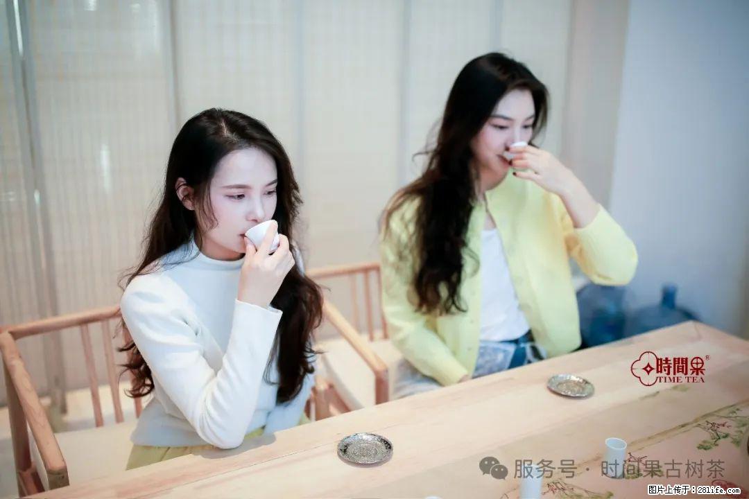 时间果百年古树龙珠普洱生茶 - 购物交流 - 焦作生活社区 - 焦作28生活网 jiaozuo.28life.com