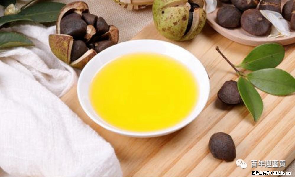揭秘茶油的5大核心营养成分!被称为人体健康的“守护盾”! - 焦作生活资讯 - 焦作28生活网 jiaozuo.28life.com