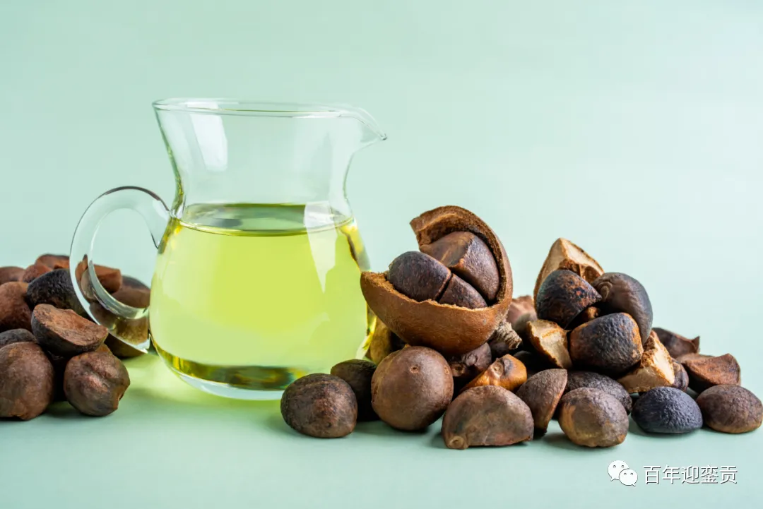 世界没有真相,只有认知,最好的食用油是中国的山茶油! - 焦作生活资讯 - 焦作28生活网 jiaozuo.28life.com
