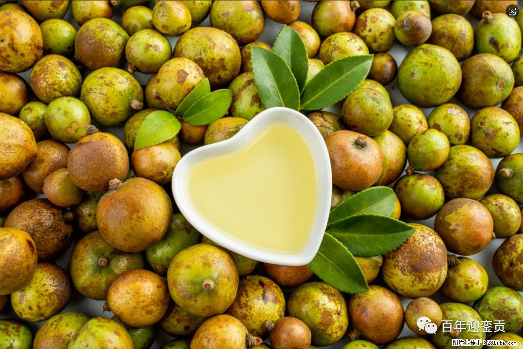 世界没有真相,只有认知,最好的食用油是中国的山茶油! - 焦作生活资讯 - 焦作28生活网 jiaozuo.28life.com