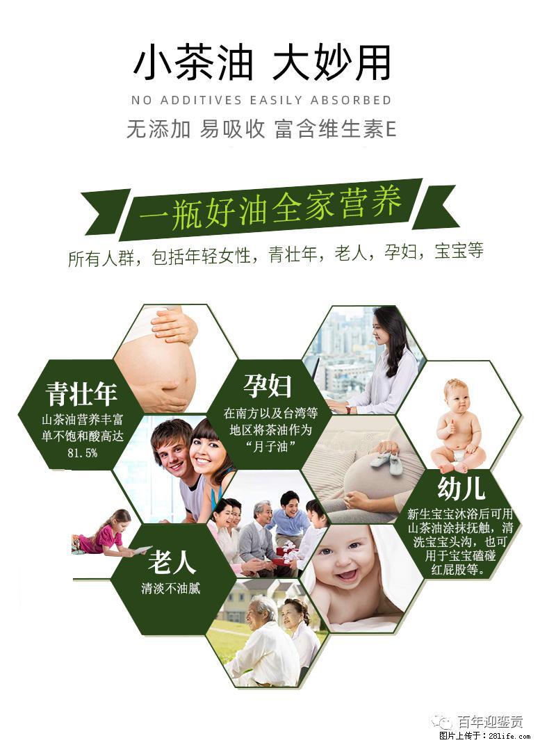 世界没有真相,只有认知,最好的食用油是中国的山茶油! - 焦作生活资讯 - 焦作28生活网 jiaozuo.28life.com