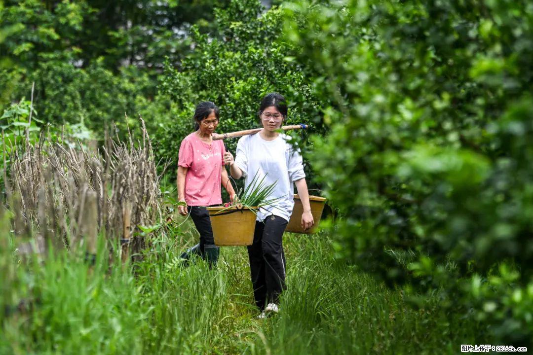 全网追的“扁担女孩”，找了一份暑假工，时薪12元 - 焦作生活资讯 - 焦作28生活网 jiaozuo.28life.com