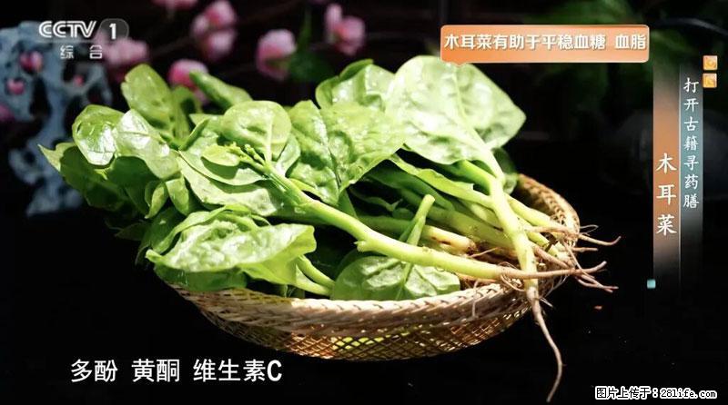 比牛奶补钙还厉害！凉血解毒、稳血糖...这菜冬天必吃，很多人却当草 - 焦作生活资讯 - 焦作28生活网 jiaozuo.28life.com