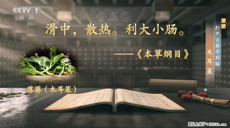 比牛奶补钙还厉害！凉血解毒、稳血糖...这菜冬天必吃，很多人却当草 - 焦作生活资讯 - 焦作28生活网 jiaozuo.28life.com