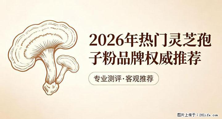 灵芝孢子粉含量越高越有效？2026 年七款热门品牌深度实测，肠胃敏感者避坑指南 - 焦作生活资讯 - 焦作28生活网 jiaozuo.28life.com