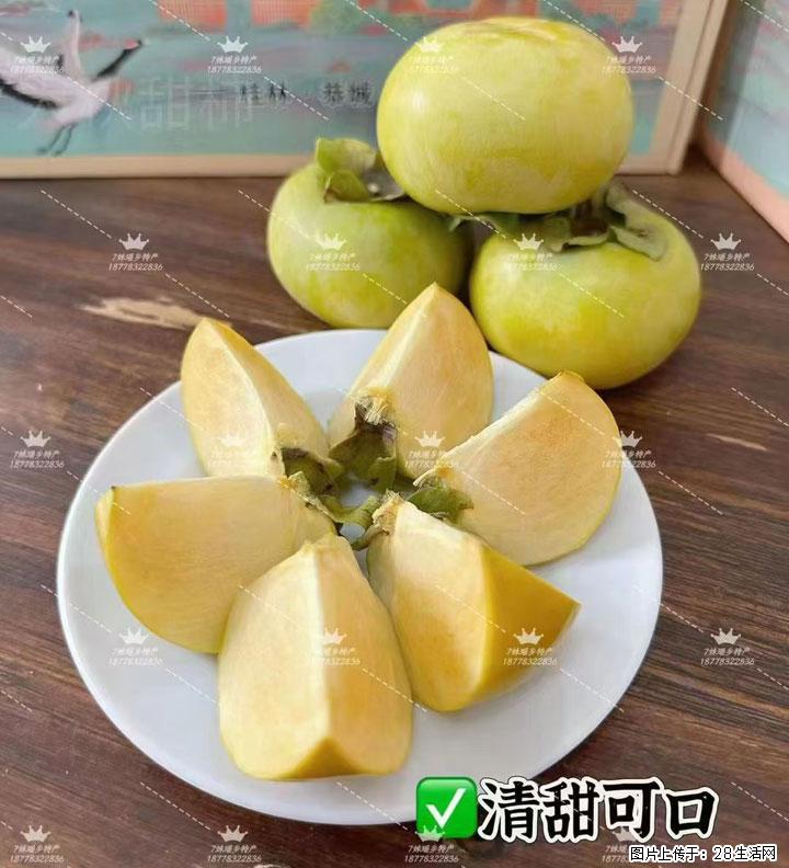 广西桂林平乐桥亭【红心猕猴桃】、【大秋甜柿】上市啦，欢迎各位新老客户下单（另有少量小果出售） - 焦作生活资讯 - 焦作28生活网 jiaozuo.28life.com